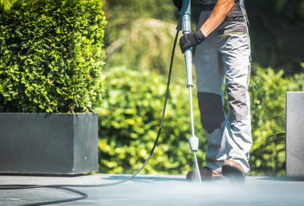 Boat and Dock Cleaning in East Tawas, MI