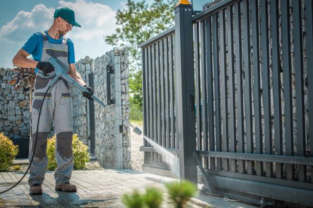 Animal Enclosure Cleaning in East Tawas, MI