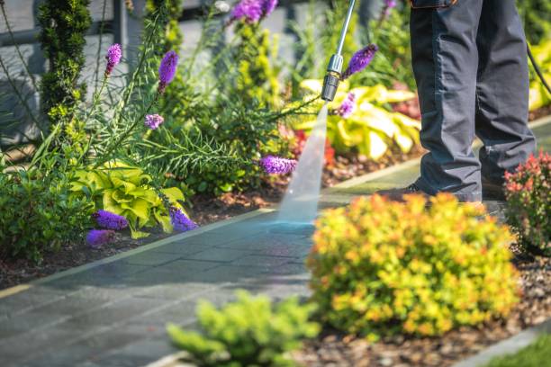 Best Driveway Pressure Washing  in East Tawas, MI
